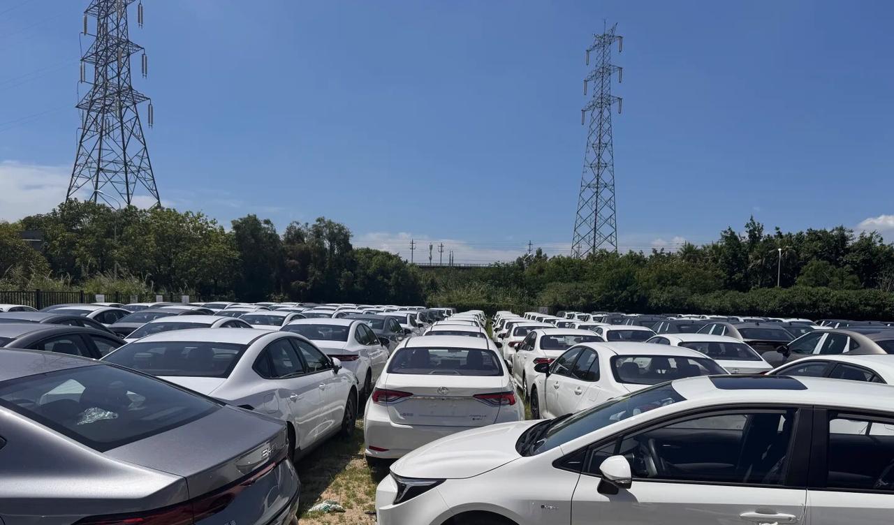为什么大众丰田疯狂降价，销量还是下滑？不夸张的说是国产新能源车的功劳，这么说吧