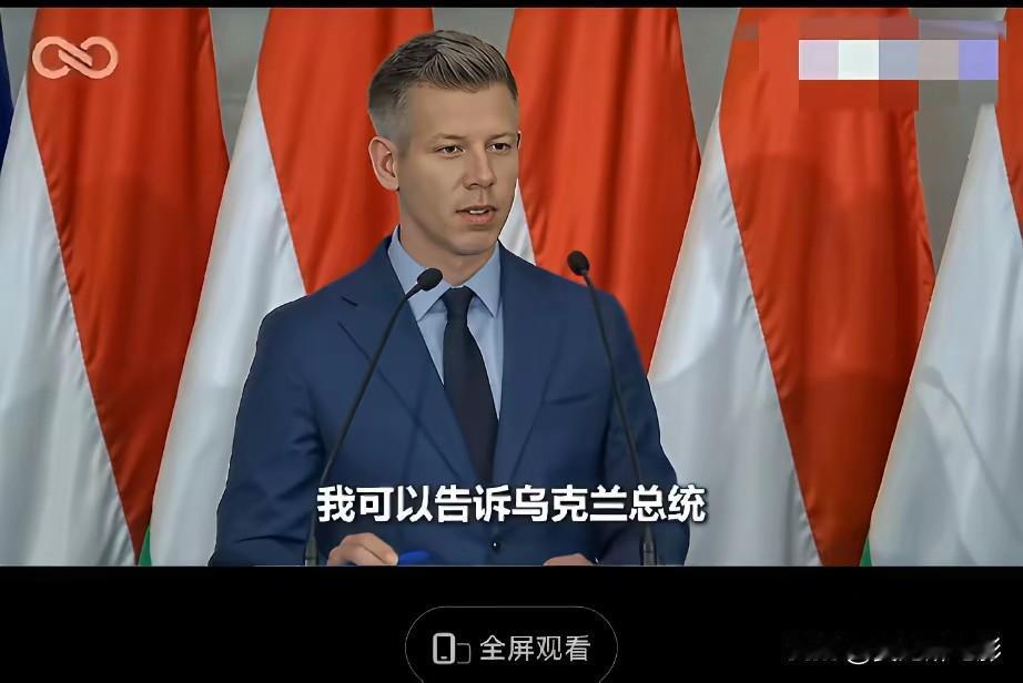 真不给面子，匈牙利新总理称不认识也不想认识泽连斯基，他只要友谊管道里流出的俄罗斯