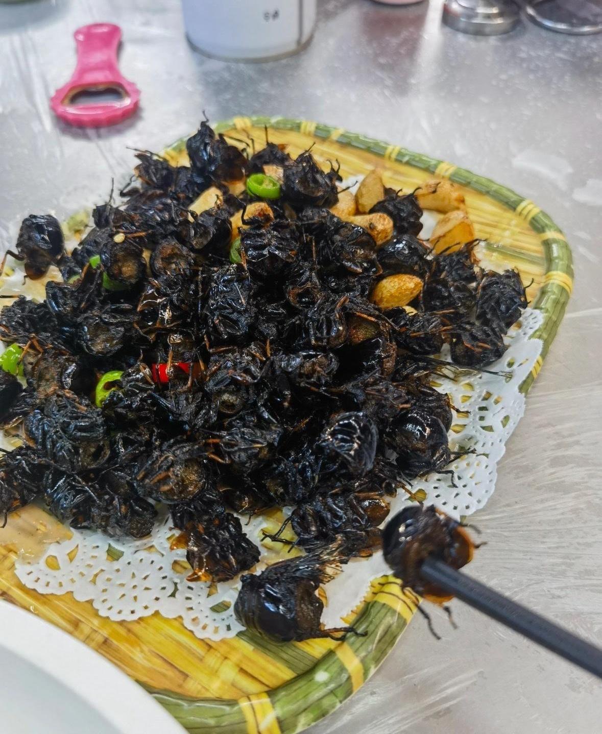 家人们谁懂啊！老公天天念叨没下酒菜，今天神神秘秘捧回来一盘“黑炭”，差点没给我整