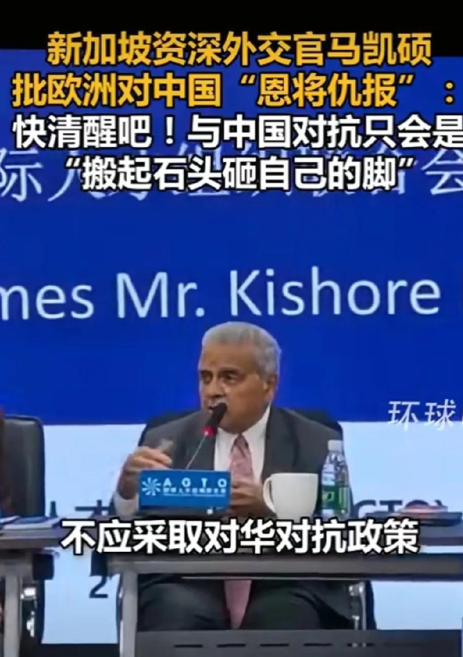 马凯硕在北京通州发表演讲时称：欧洲非但没有向中国致谢，反而对中国大加指责，这无异