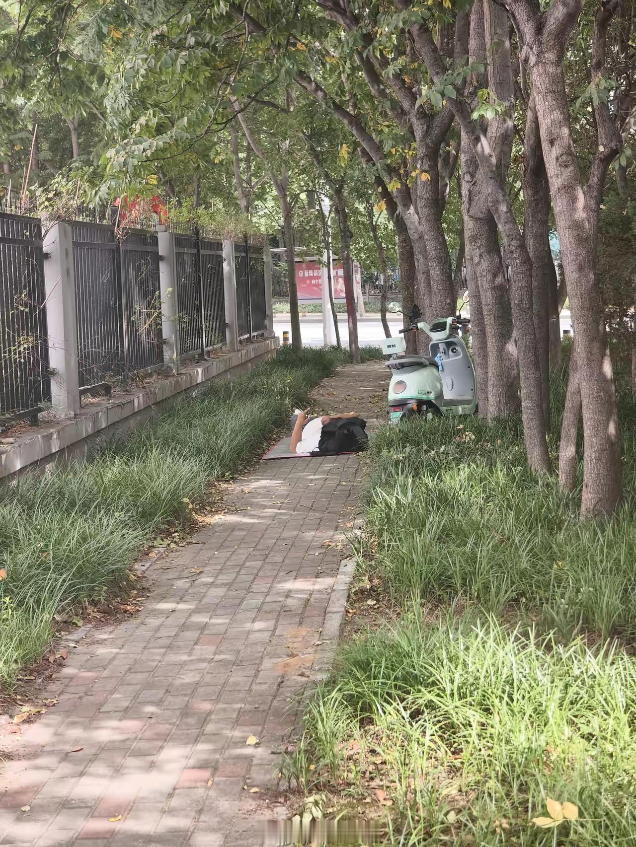 男人最怕的就是失业，这“假装”去上班的哥儿们，在小树林从上午躺到下午。人到中年太