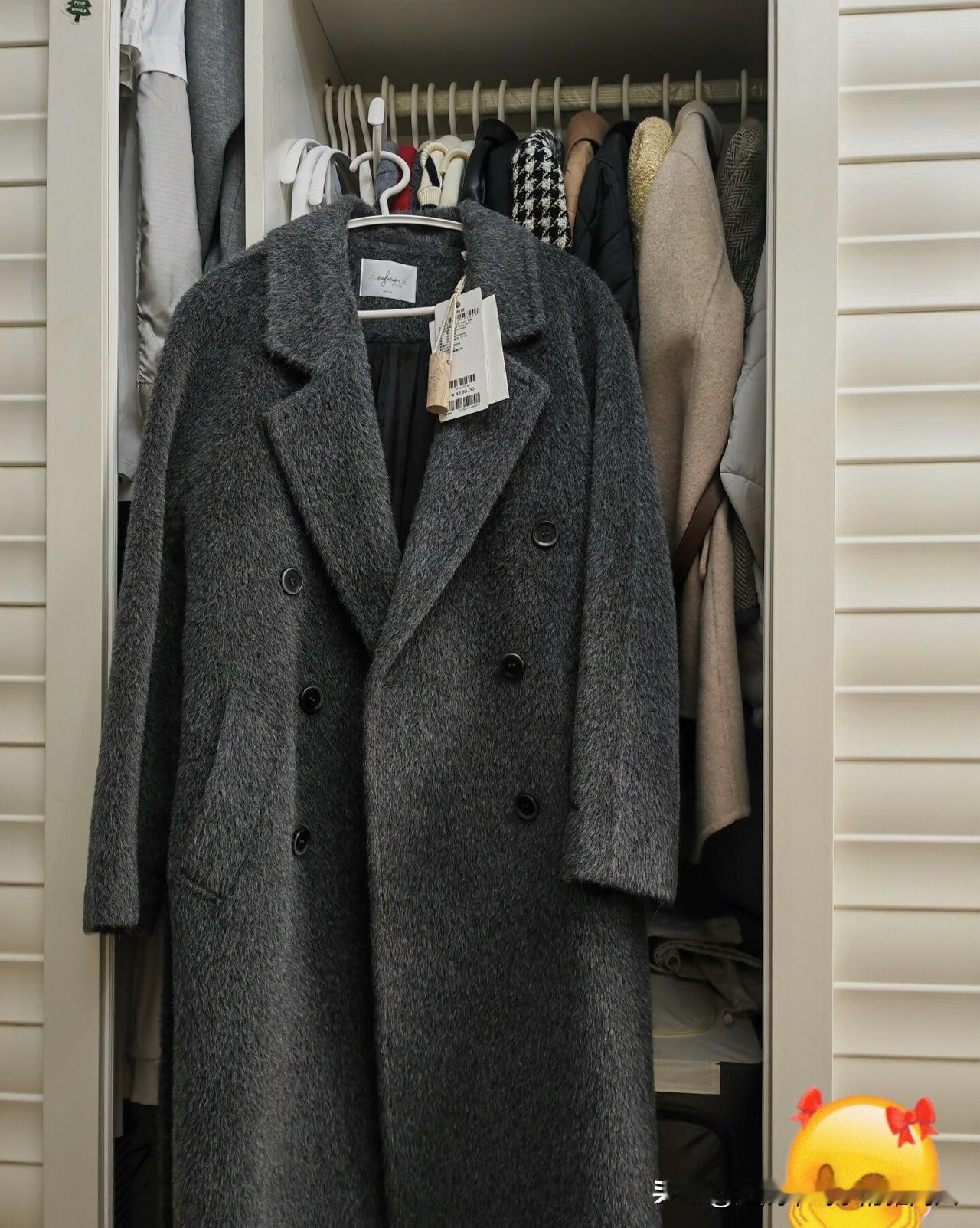 前几天去逛商场，心血来潮在专柜买了一件苏丽大衣。回家后，忍不住在镜子前试穿了几次