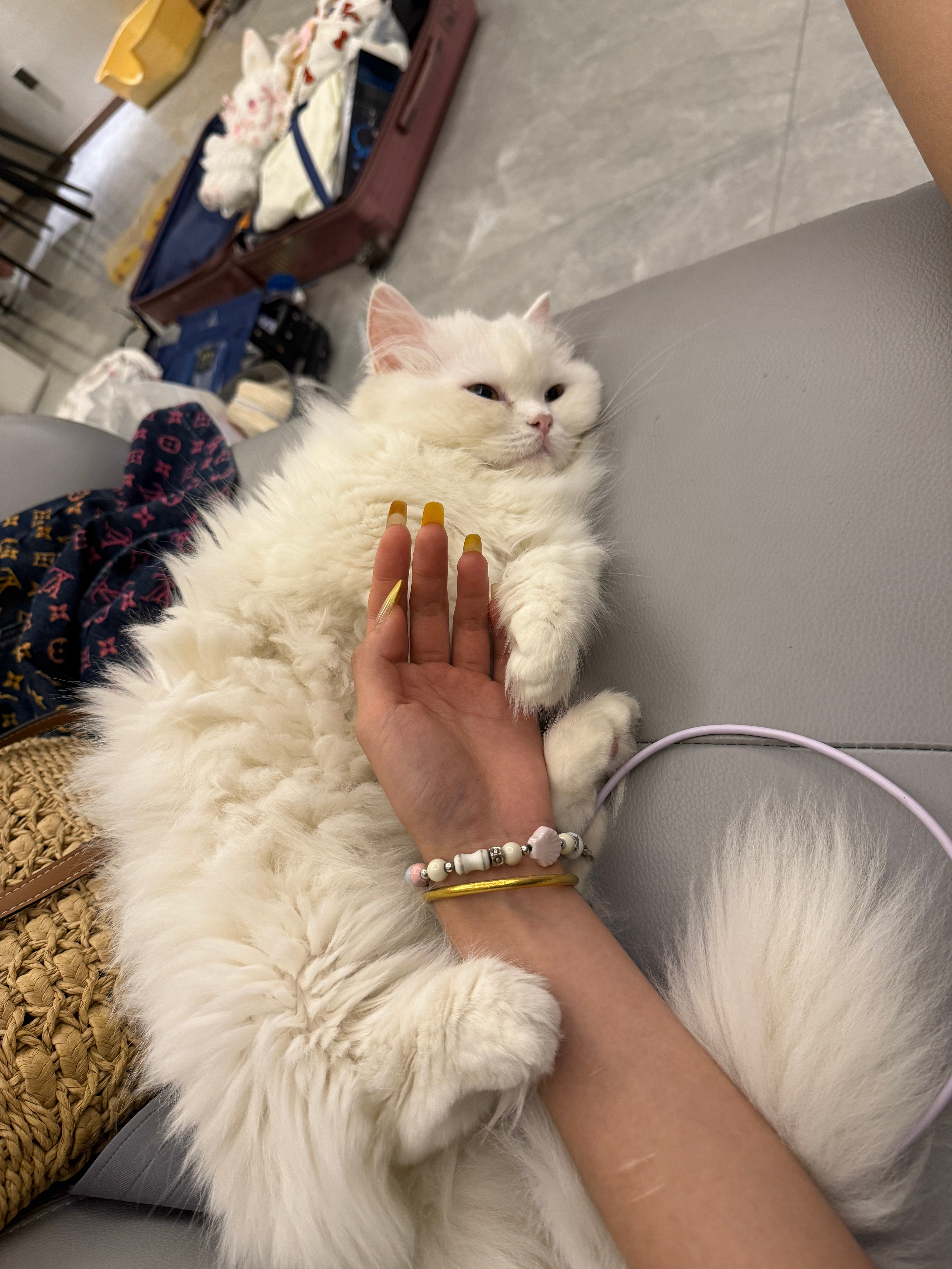 回家真好🧩​​​