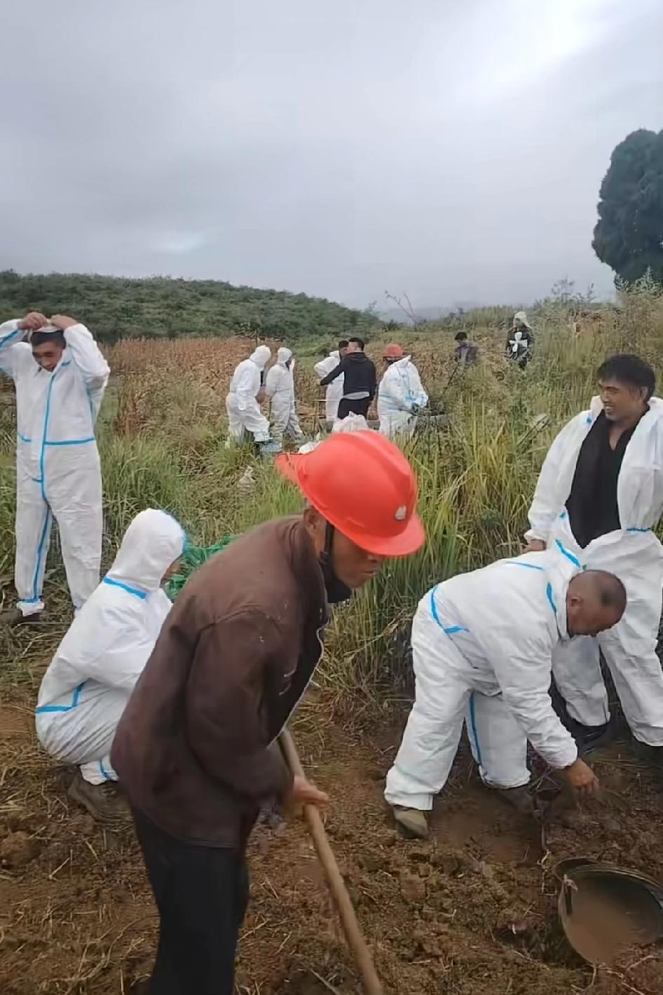 好搞笑，干活的不穿防护服，不干活的倒是防护的严严实实，有的人死犟死犟的，给也不穿
