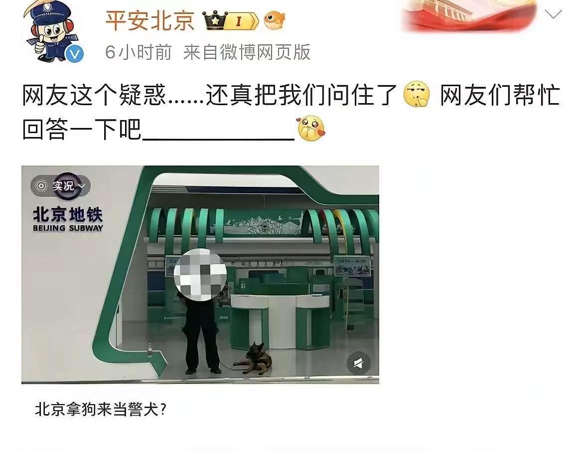 网友们太有才了！有爱狗人士怒喷，北京公安竟然用狗做警犬！有爱鸟人士怒喷，森