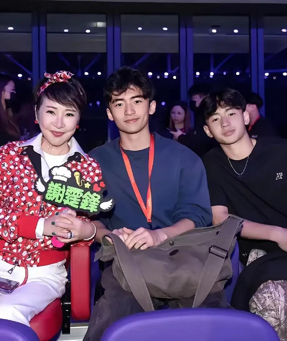 自从谢霆锋的两个儿子出现在他的演唱会后，谢霆锋和张柏芝社交账号评论区被一堆网友喊