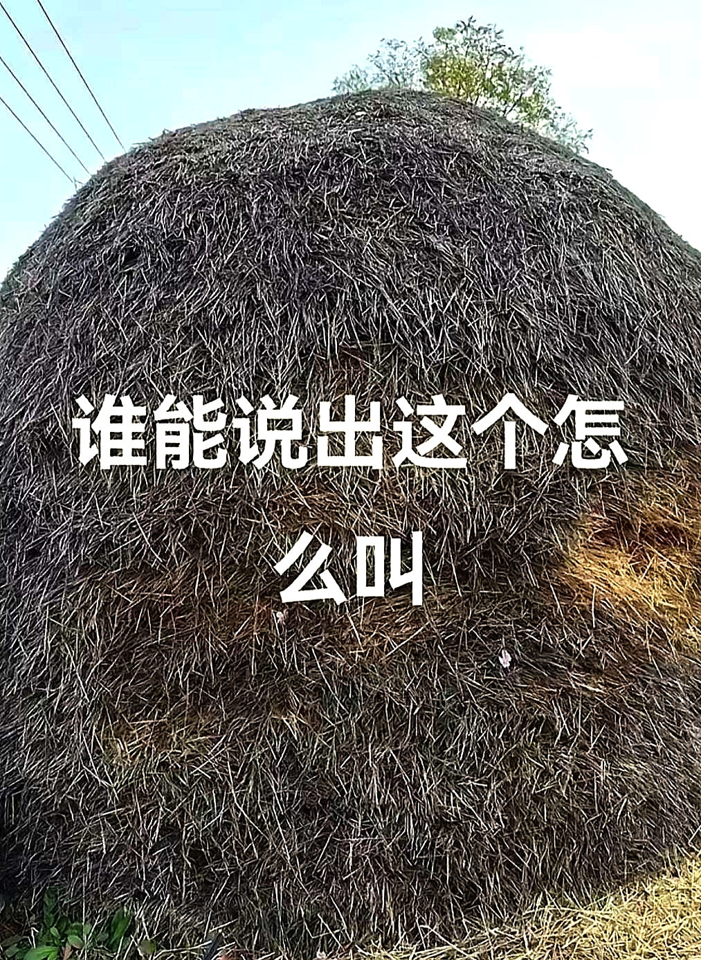 现在这个东西已经灭绝了，我们老家原来叫什么？
