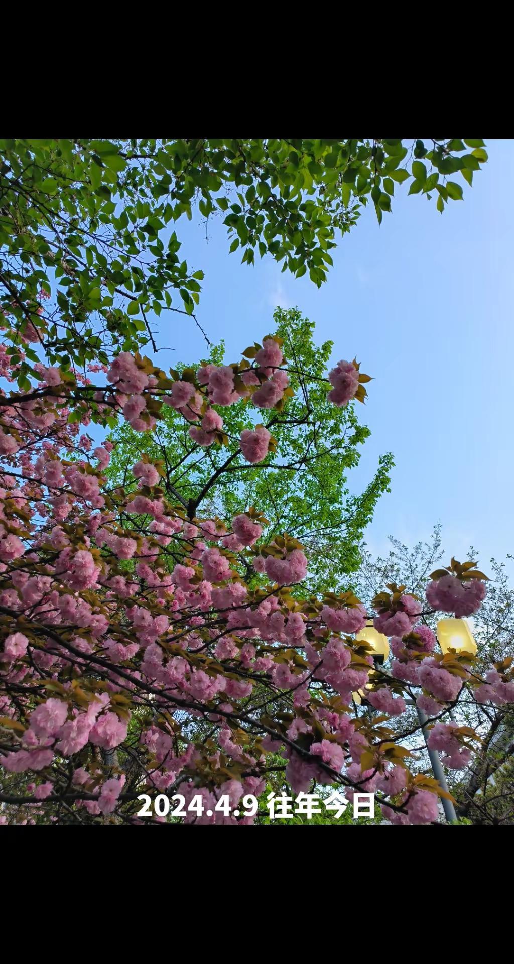 景点打卡校园随拍我的摄影日记往年今日的回忆