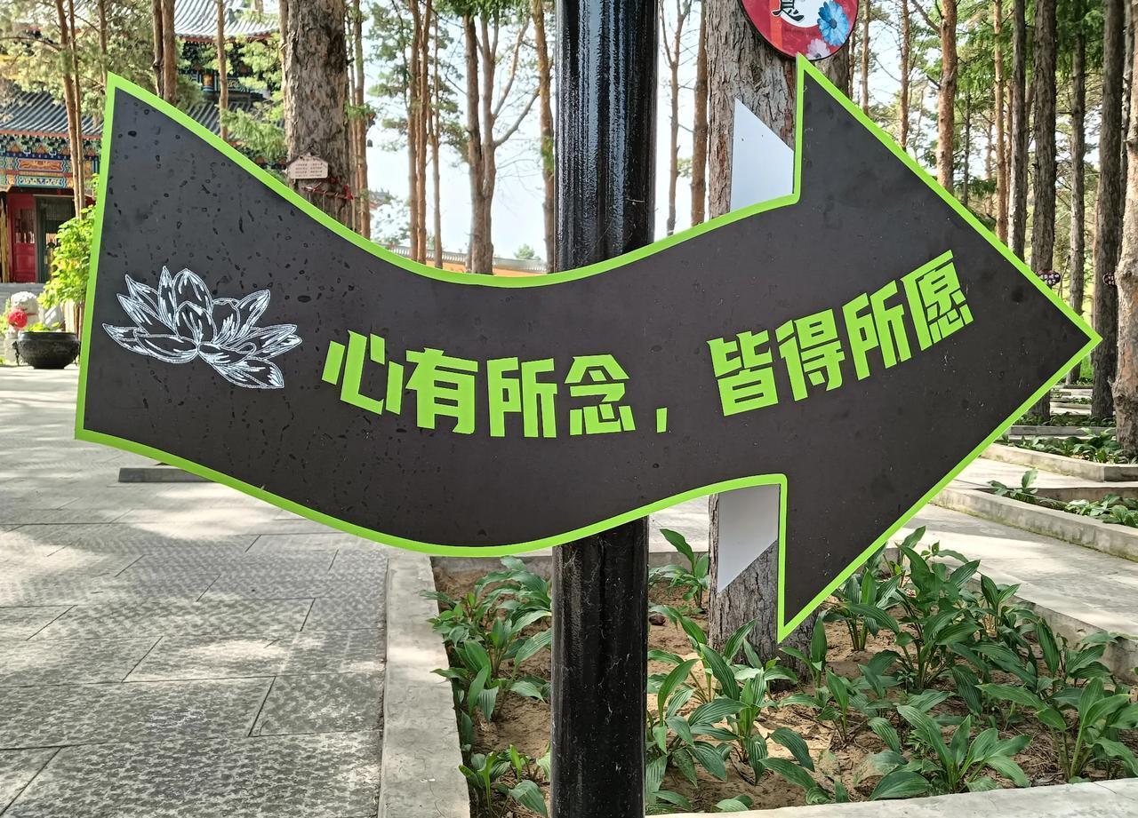 我老公信佛，而且很虔诚。可是，当我怀孕第二个孩子时，我还是坚决地做了人流。有时，