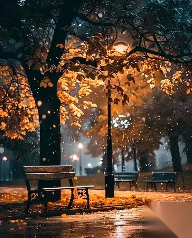 同事侄女没了才24岁，马上毕业考研就因为熬了一个月夜？同事昨天红着眼