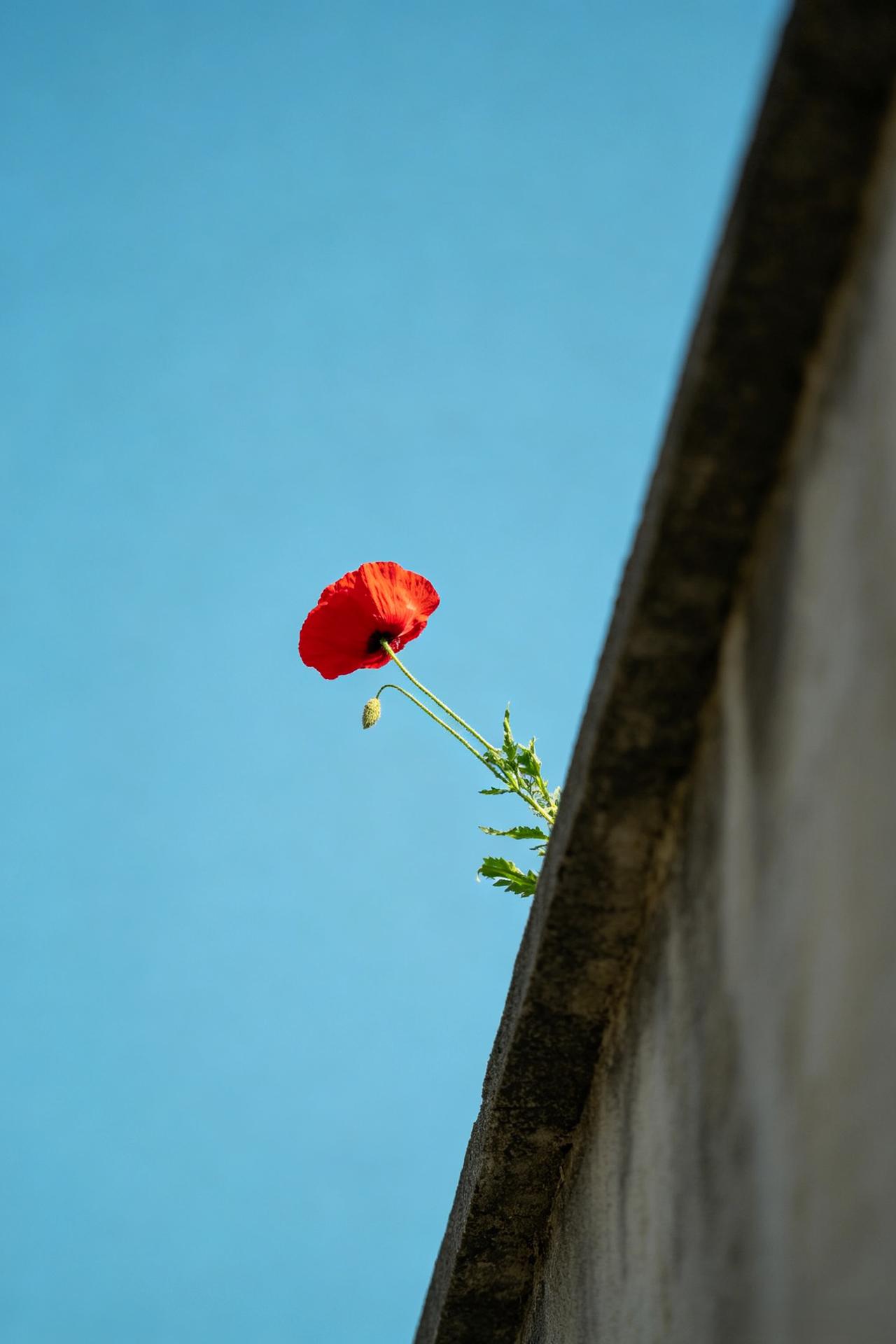 王立群教授说：“你一定要记住：人生最好的境界是丰富的安静。古人讲非宁静无以致远