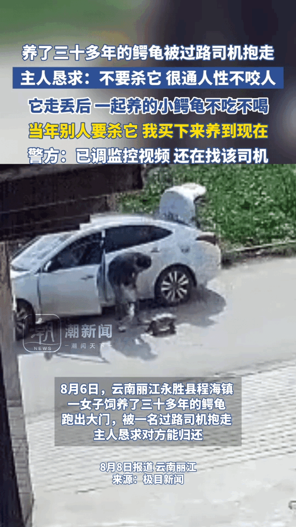 “太可惜了！”“不要杀它！很通人性不咬人”近日，云南丽江，一女子家养了30多