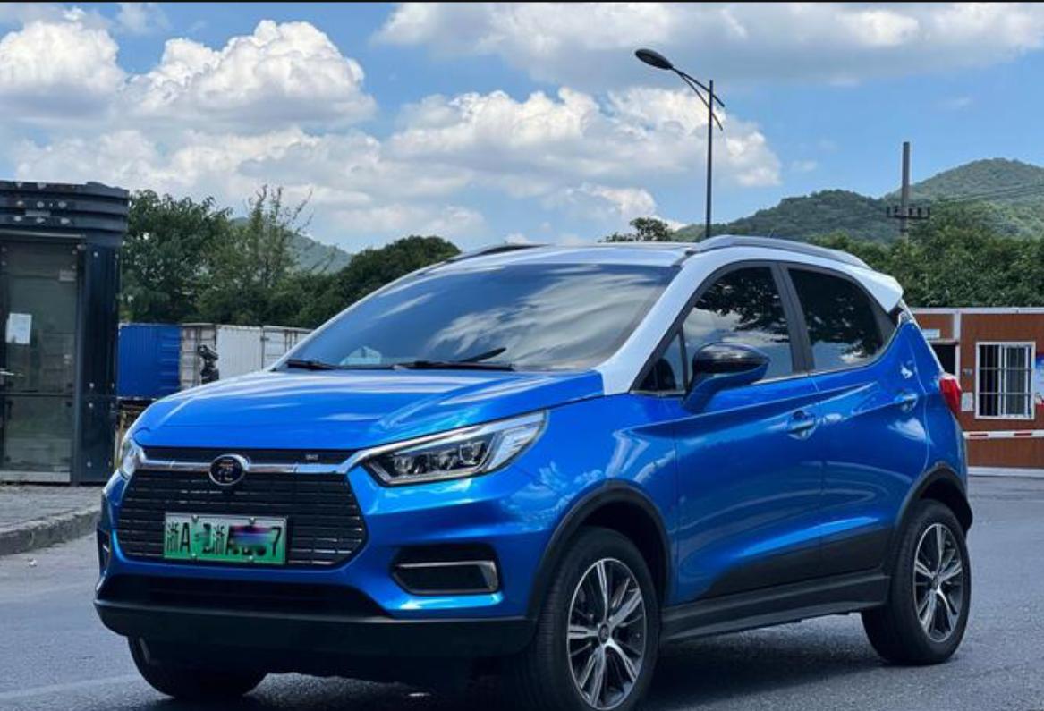 老公说电车会自燃、电池用不久…我瞒着他直接提了比亚迪！结果他反应绝了！那天烧烤