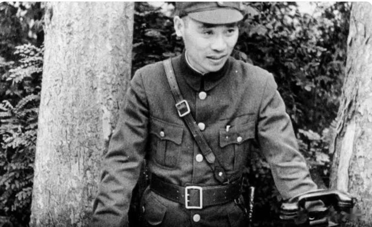 为什么蒋介石下野后，毫不担心军权旁落，还能牢牢控制军队的"杀手锏"，是因为顾祝同