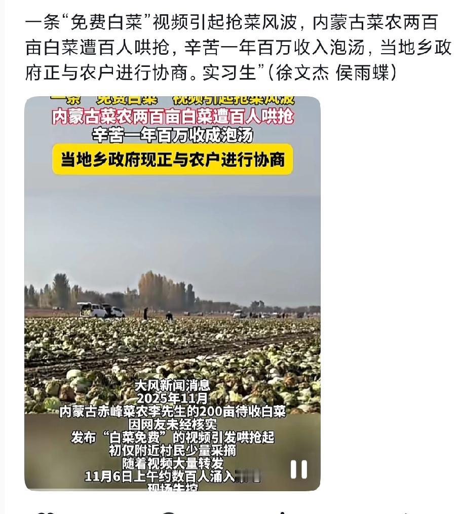 这两天内蒙古赤峰那边，有个事儿看得人心里真不是滋味。有个菜农大哥，他辛辛苦苦种了