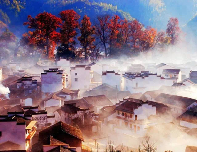 婺源，这个“中国最美的乡村”，一到秋天，就美成了童话。​​​​