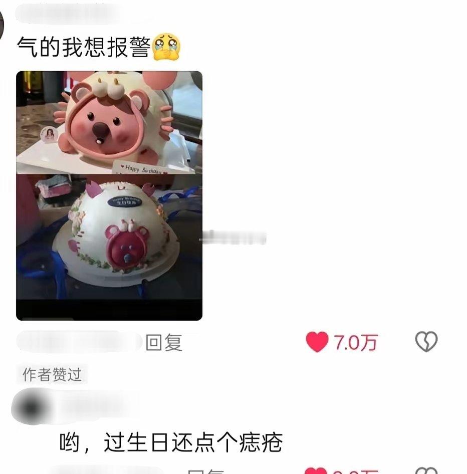 再说一遍，做不了同款蛋糕就不要接单