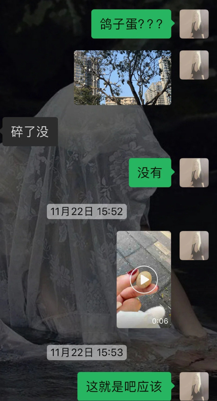 孵化了半个月的蛋发现是鱼皮花生