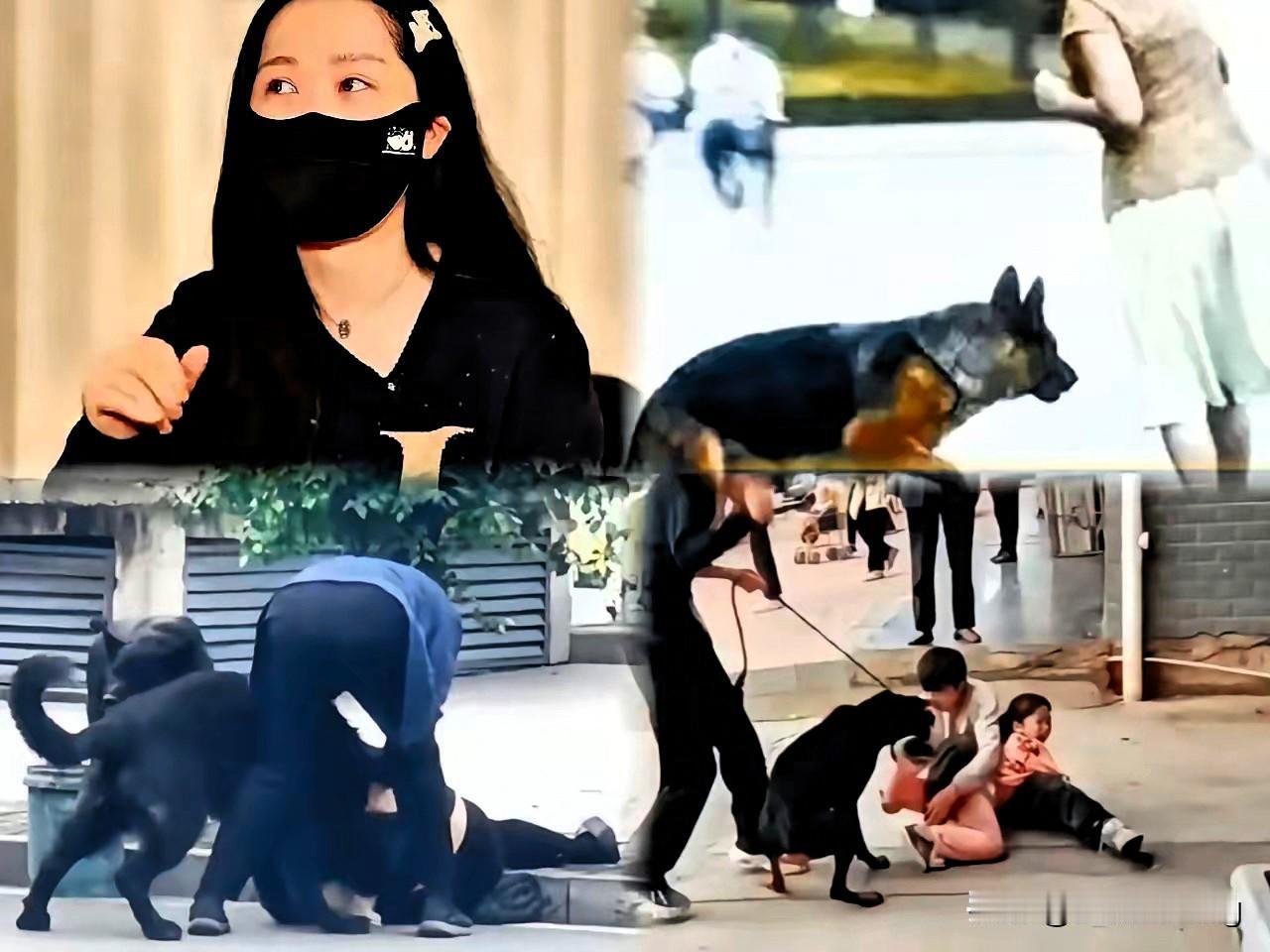 真的越想越气！狗被毒死投毒者要判刑，可每年那么多人被狗咬伤，狗主人却常常轻飘飘一