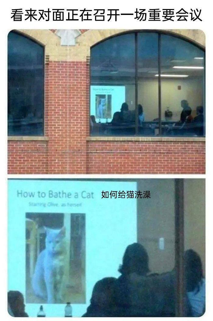 学习。​​​