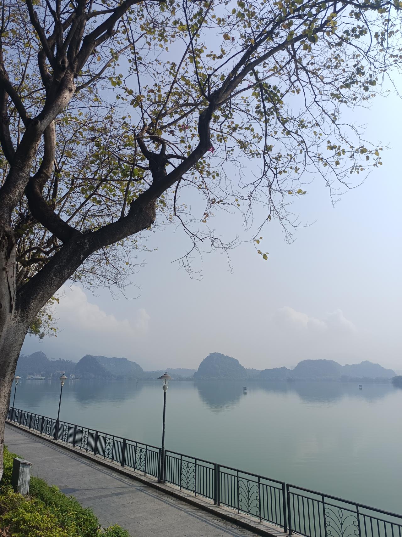 你发现了吗？肇庆星湖，虽然颜值比不上那些大超5a风景区，但她的风景真的跟一般人