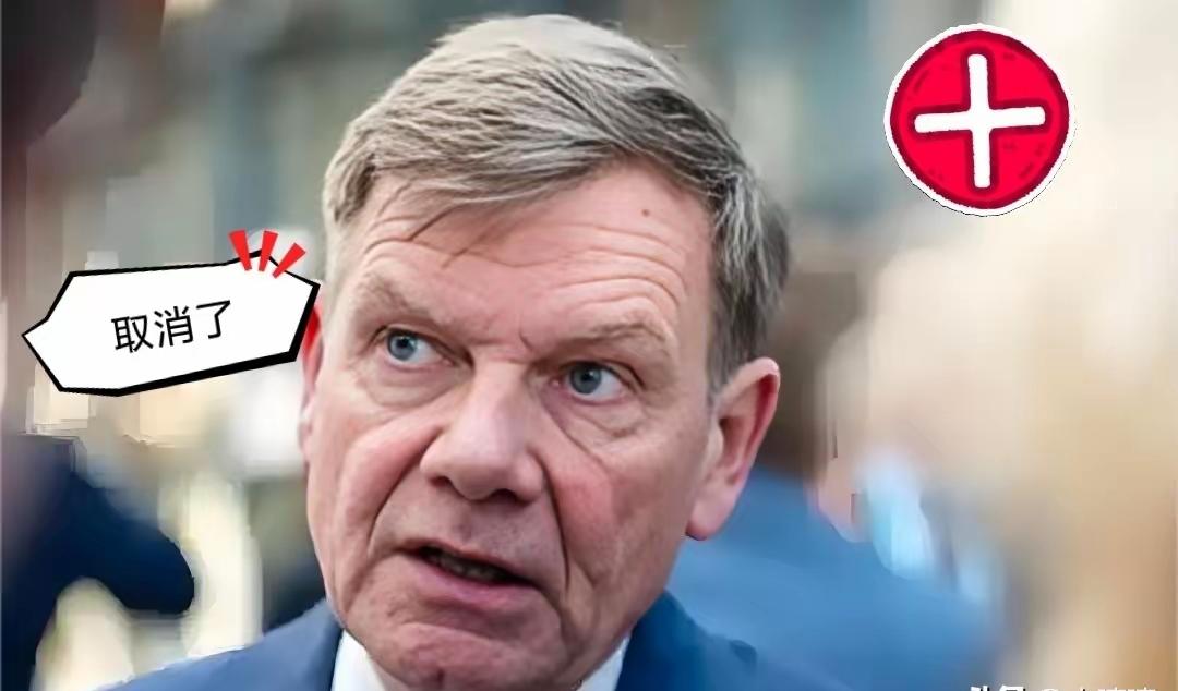 快讯！快讯！中国和德国共同宣布了！11月3号晚上，王外长“应约”和德国外长