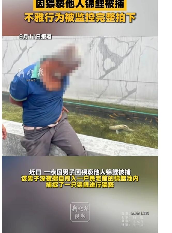 这个男子太奇葩了，连一条鱼都不放过！2026年9月7日晚，这名男子闯入曼谷民宅锦