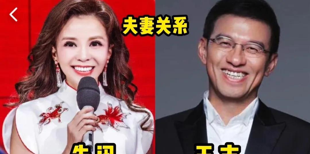15主持人不为人知的的关系，隐藏的太深，一般人根本不知道！第1对:朱迅与王志