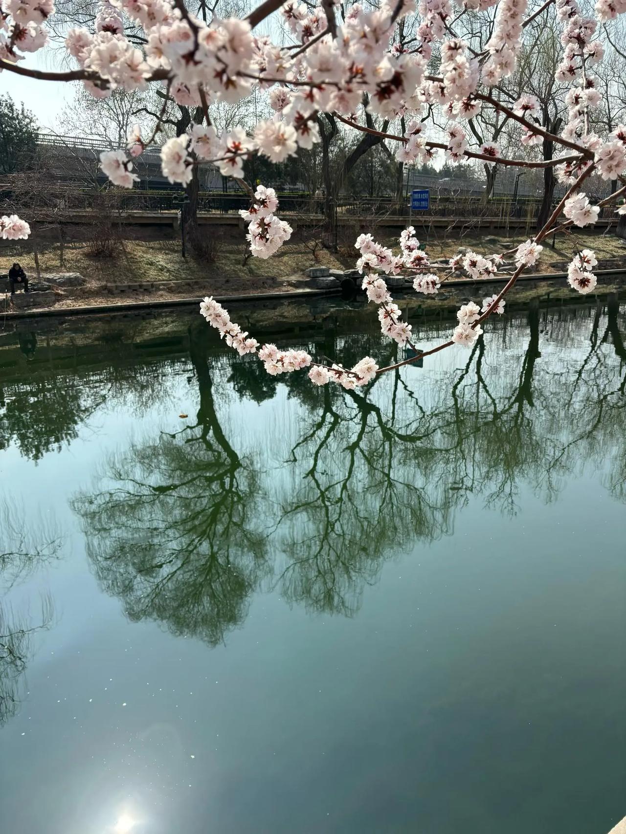 我同事女儿，今年35岁，同事又叫我帮她女儿介绍男朋友，这次我有点不想答应她。我