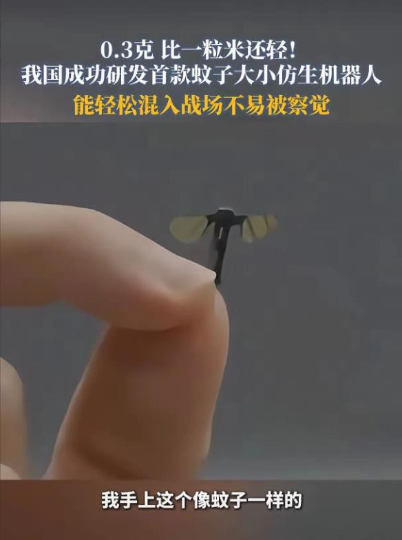 中国震撼全球！首款蚊子大小仿生机器人横空出世，西方集体惊醒！