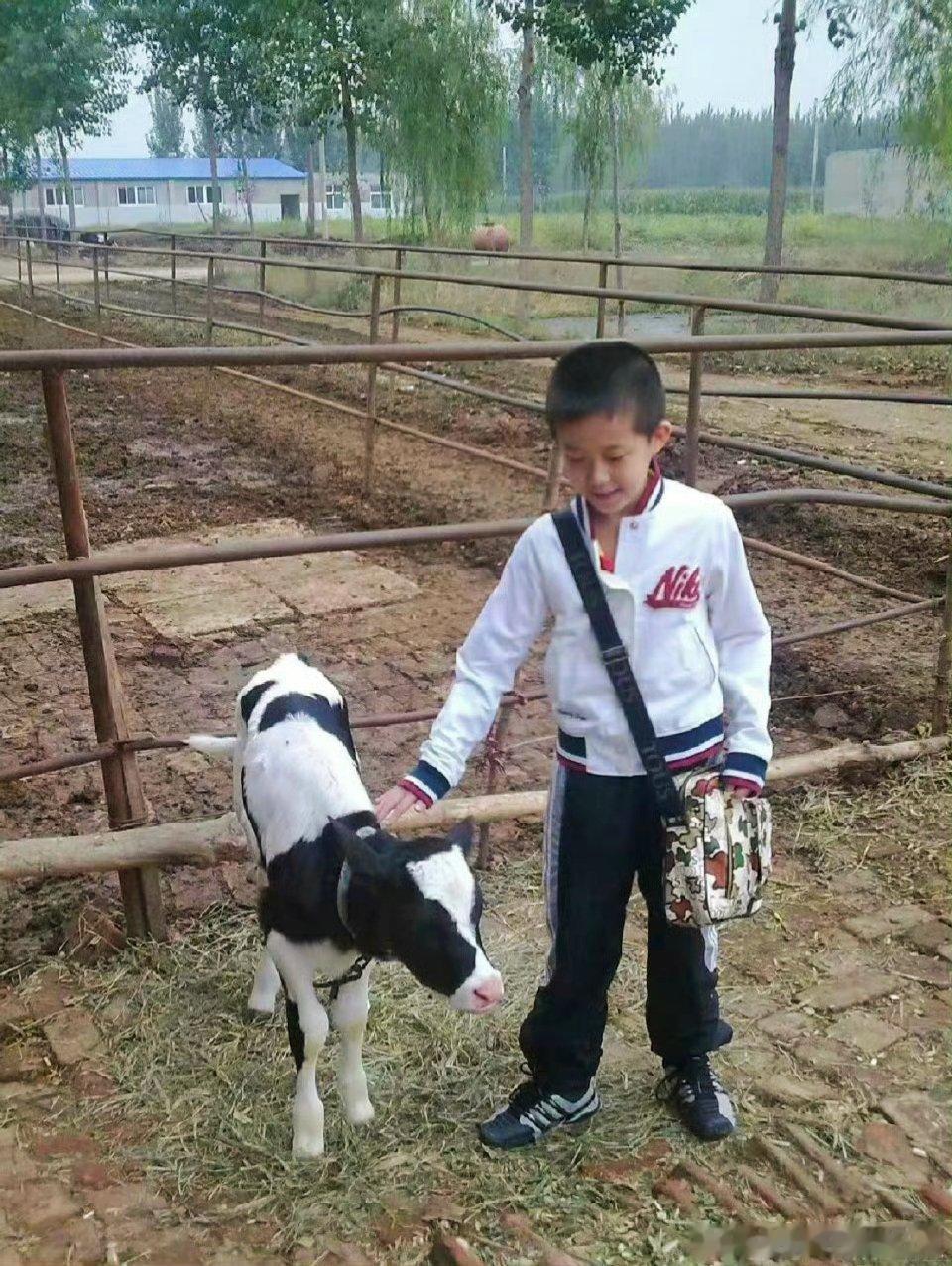 王楚钦🦁王楚钦开心自由路是一步步走出来的，你的努力会成就你的未来！楚钦宝宝晚