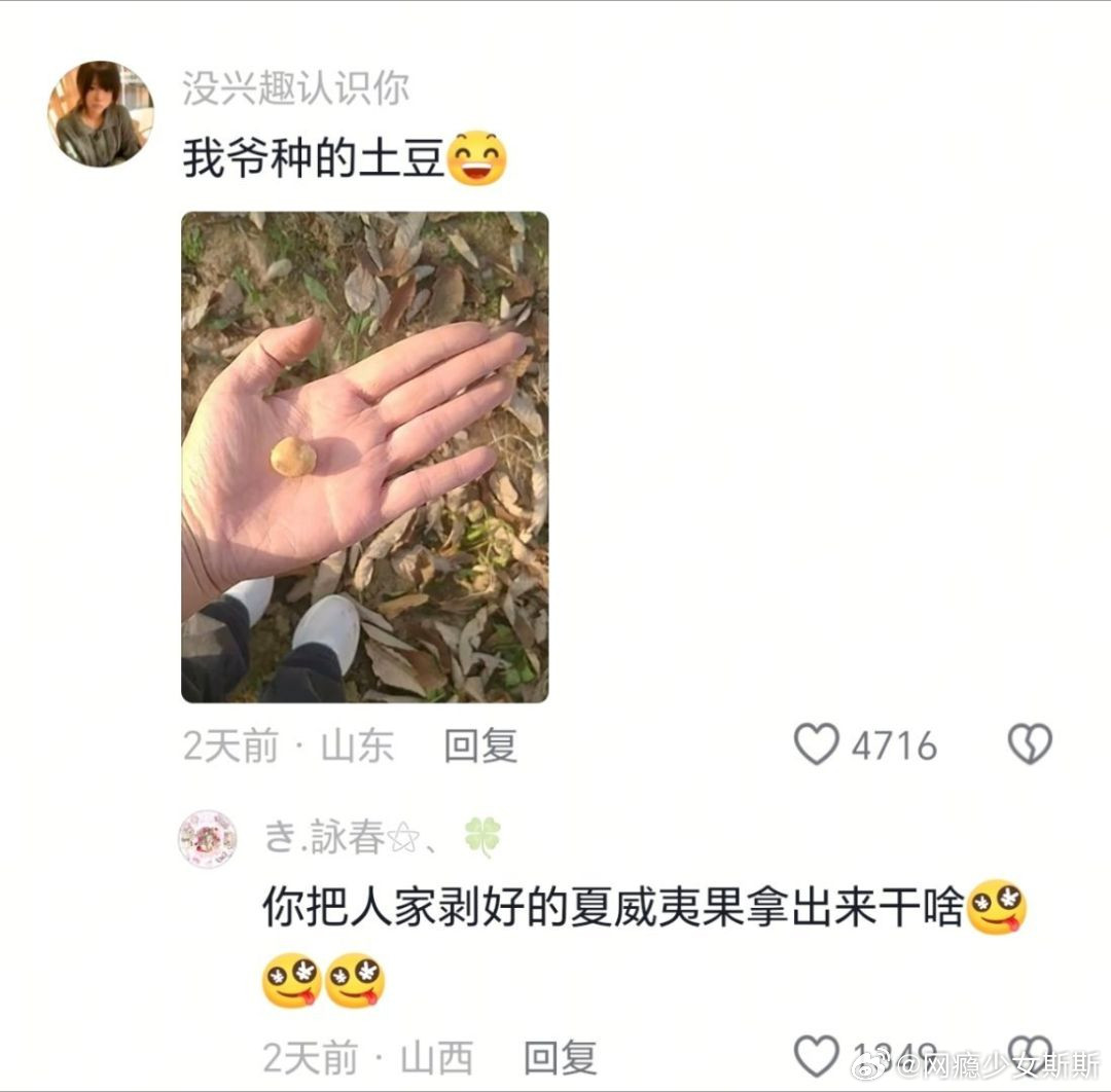 我嘞个无敌巨菜