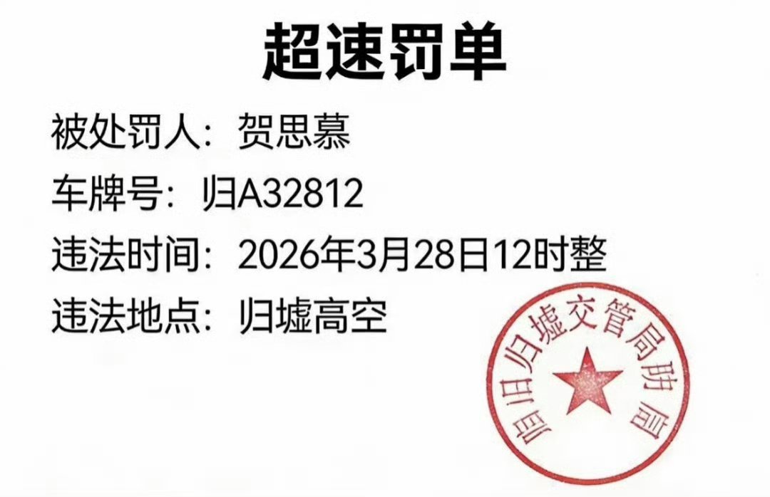 啊哈哈哈超速罚单笑的不行了