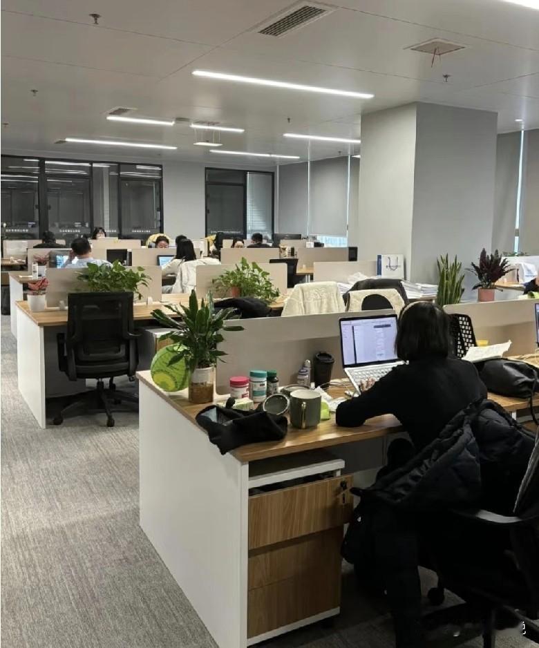 大家发现没有，80后对“领养老金”算是执念颇深了吧？事实上很多马上就要进入“当领