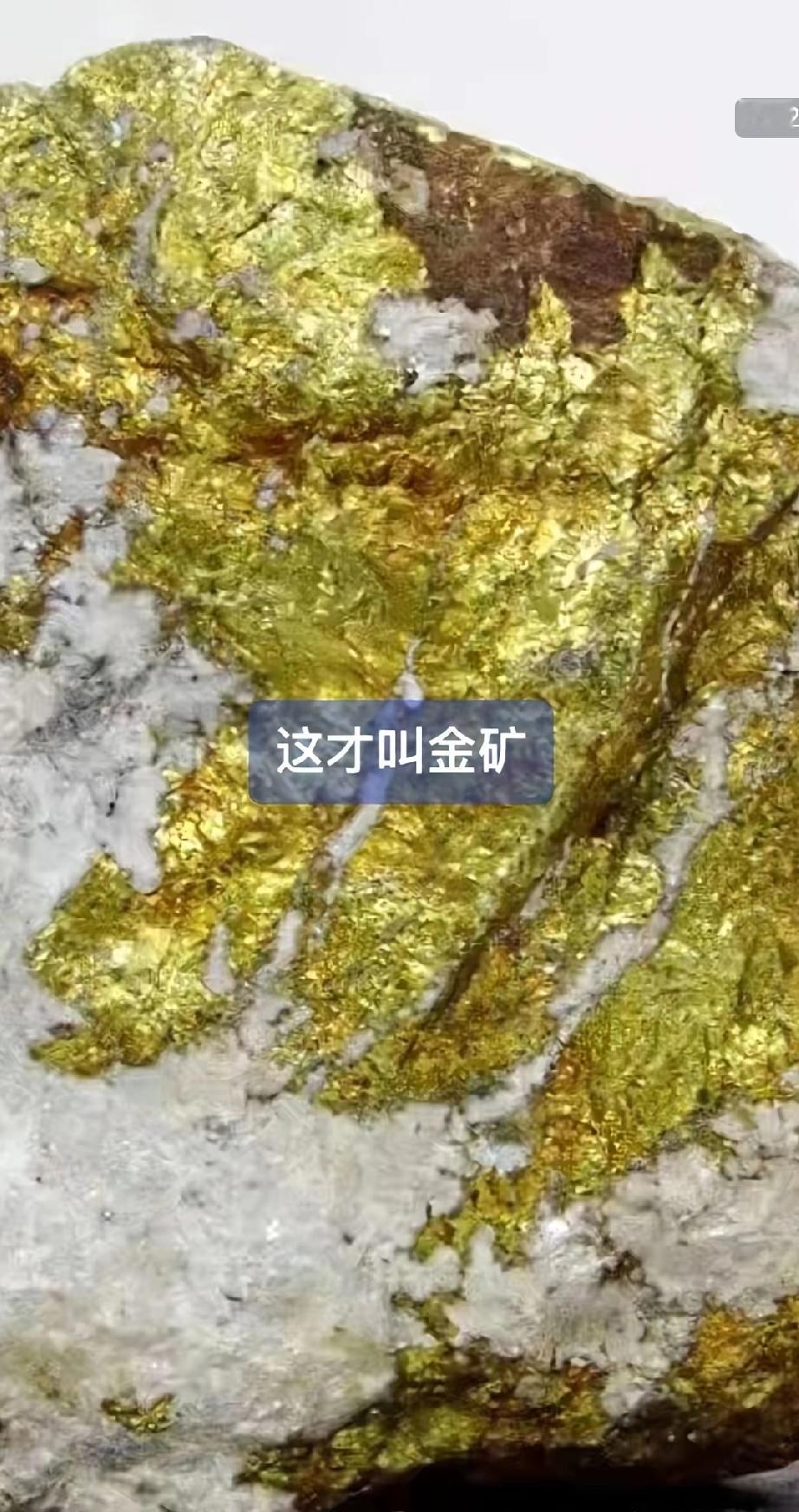 好消息好消息四川发现特大金矿！11月26日，咱从四川省自然资源厅得