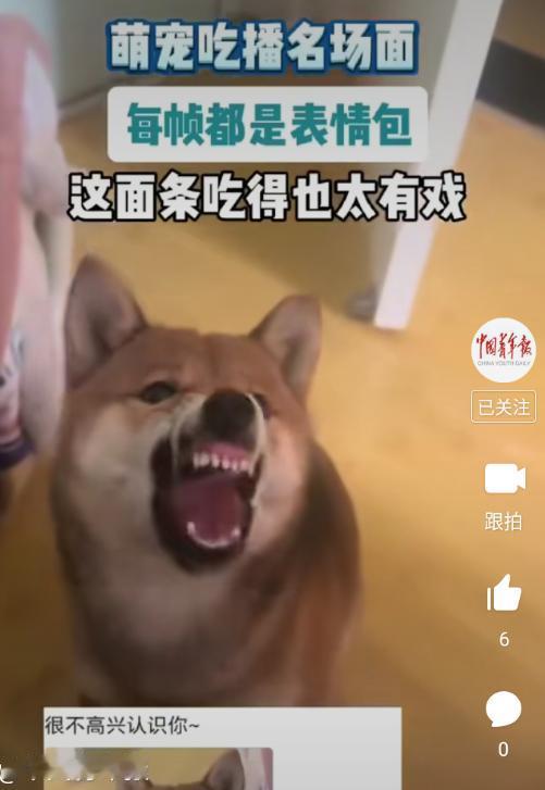 不知道为什么大媒体现在都这么调皮了？[呲牙笑]