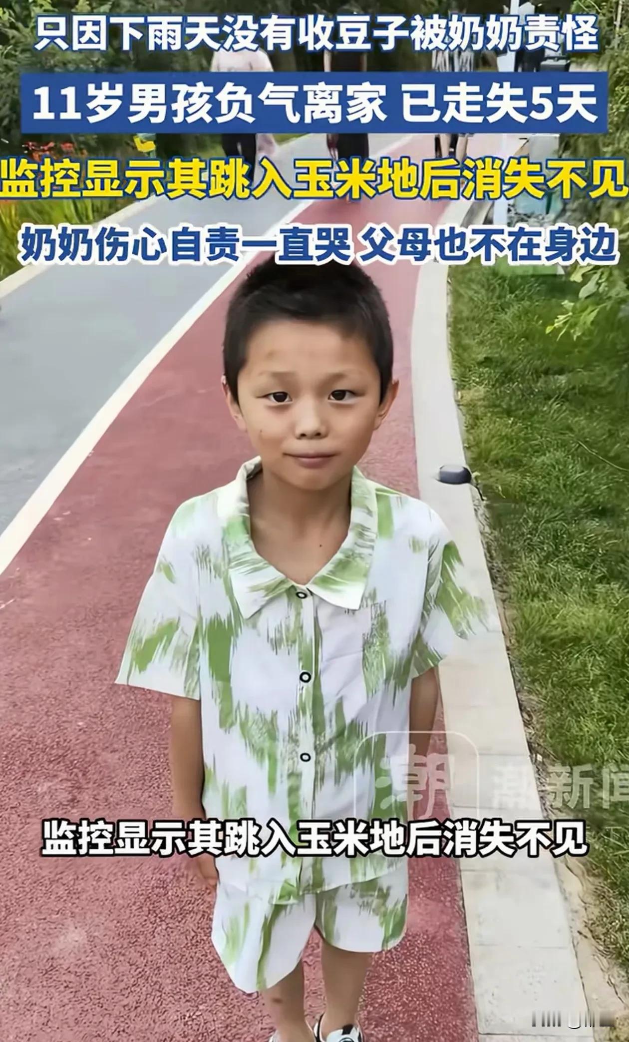 11岁的孩子负气离家，5天了，还没有回家，至今生死未卜！事发云南昭通，奶奶出