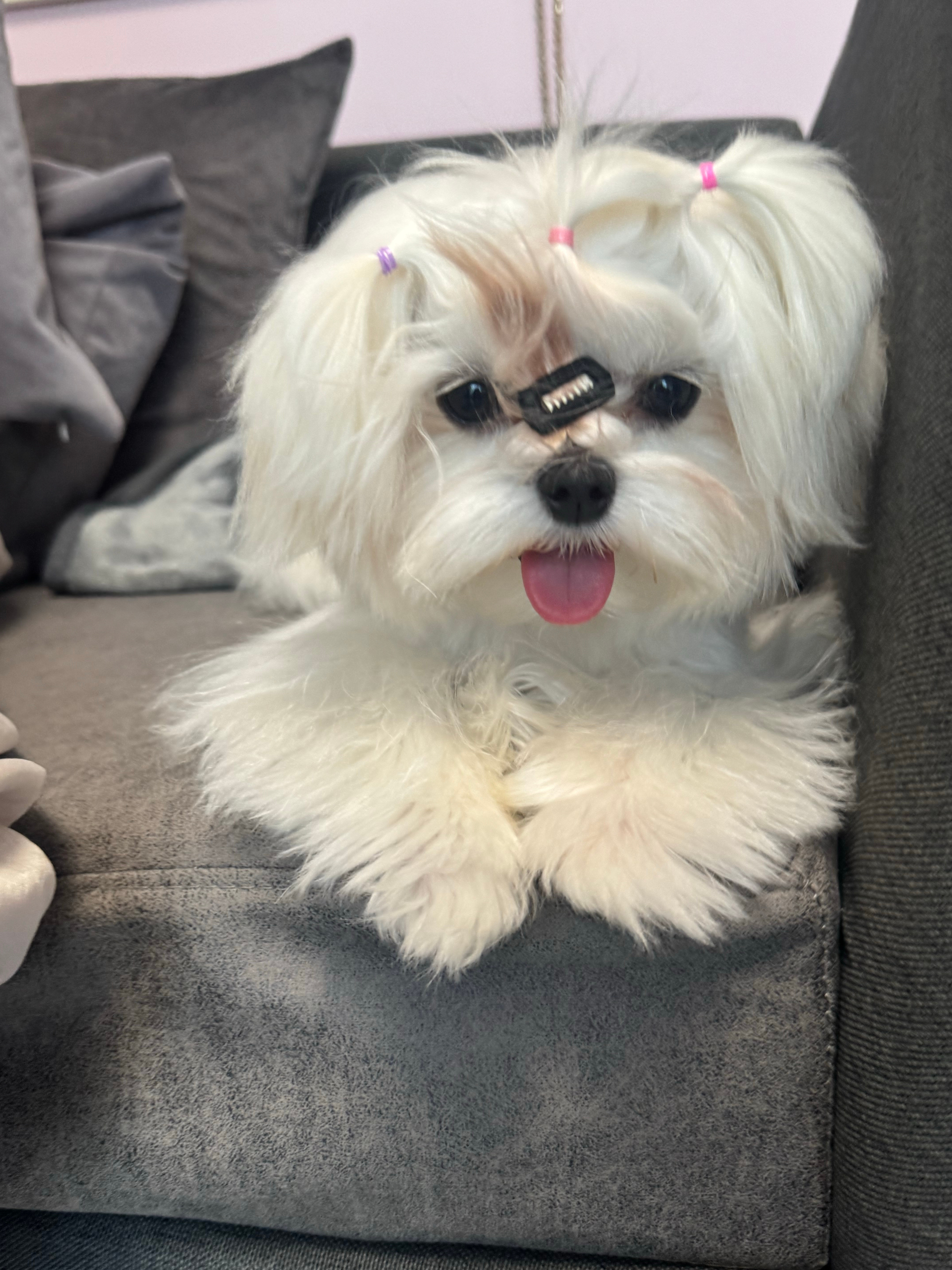 木哥变成甜妹了噻​​​