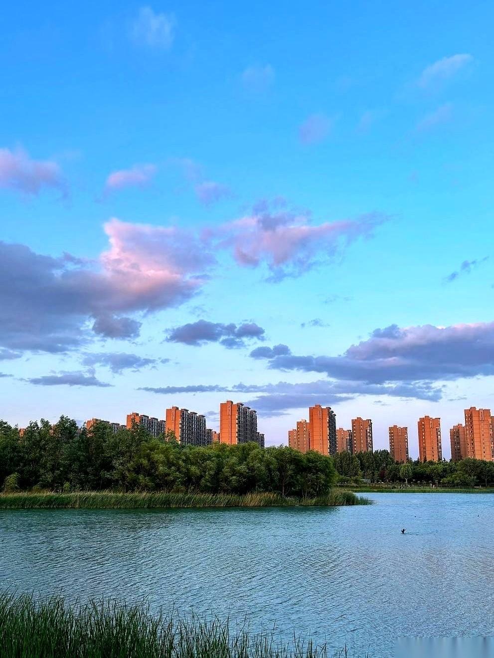 我老公53岁，这毛病已经十几年了。每晚，灯一关，被子刚捂热，他眼看就要睡着了，