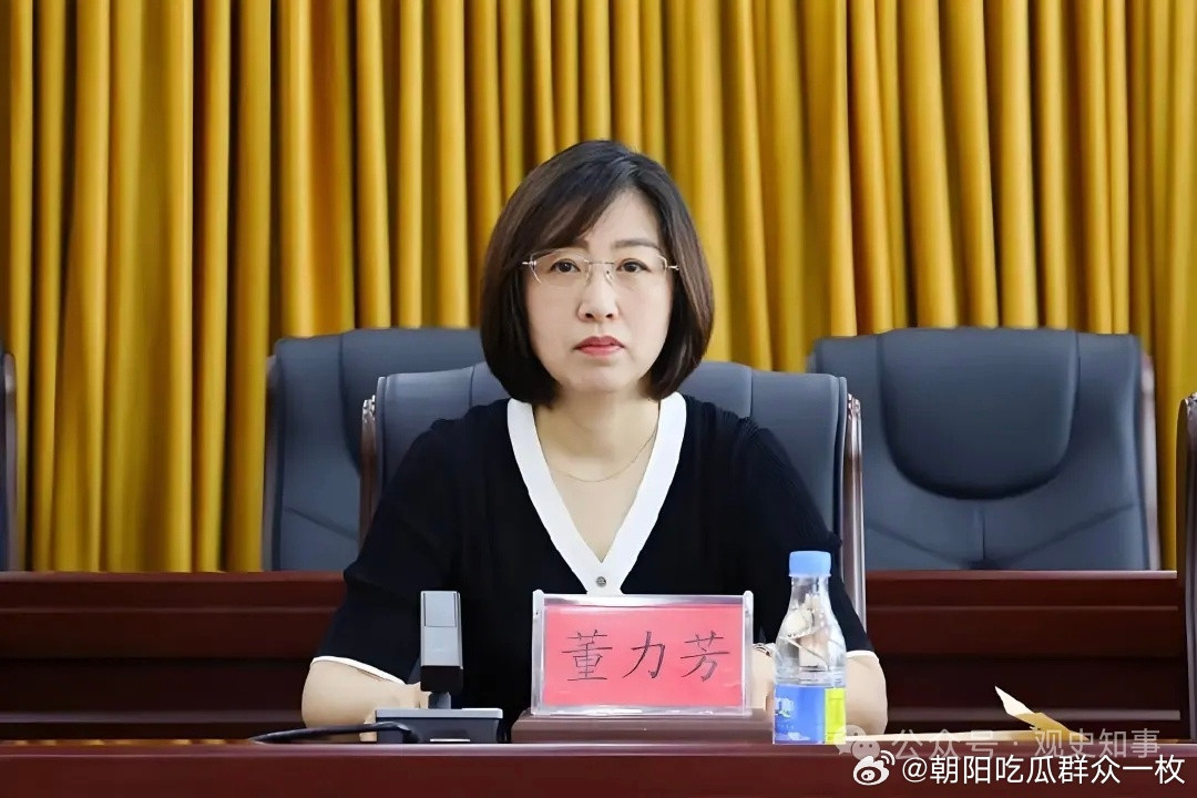 从台安宾馆保管员，到副县级领导干部，董力芳被查！