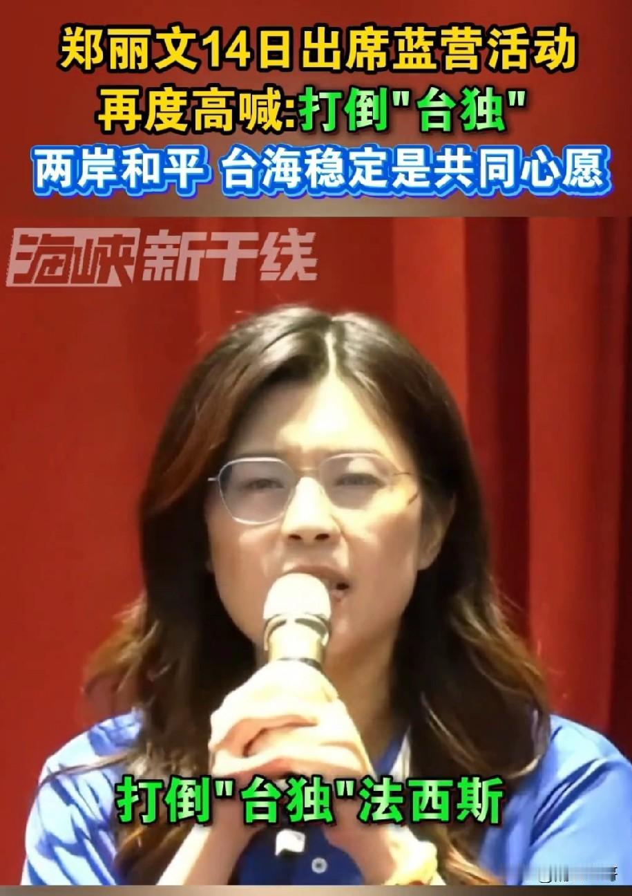 郑丽文是一个勇敢地女子，她在集会时再次大声喊出：打倒台独法西斯！我们要团结全台湾