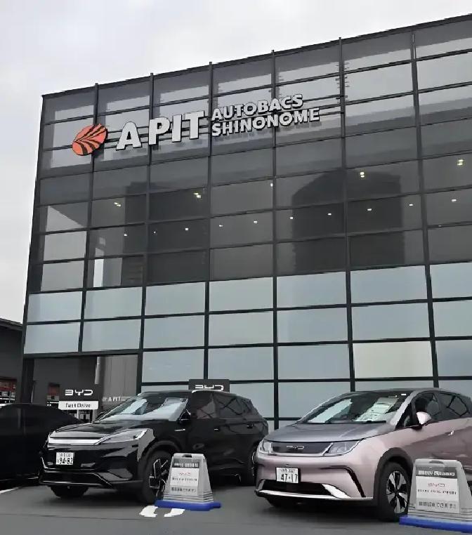 这就是现实！2023年，比亚迪在日本销量：1446台。2024年，比亚迪在日