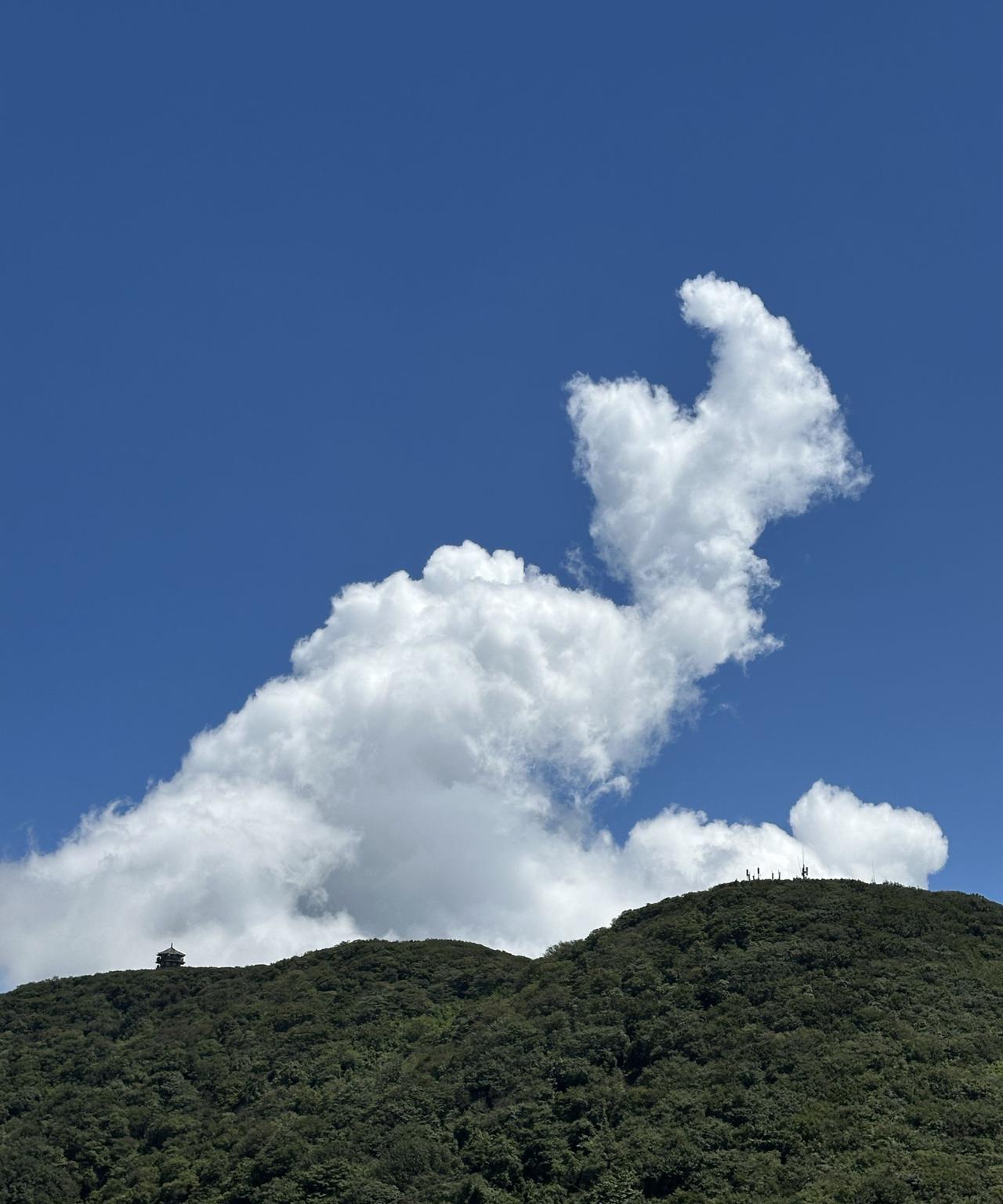8月28日，重庆主城及三峡库区，迎来40度甚至41度高温，但是，金佛山却非常清凉