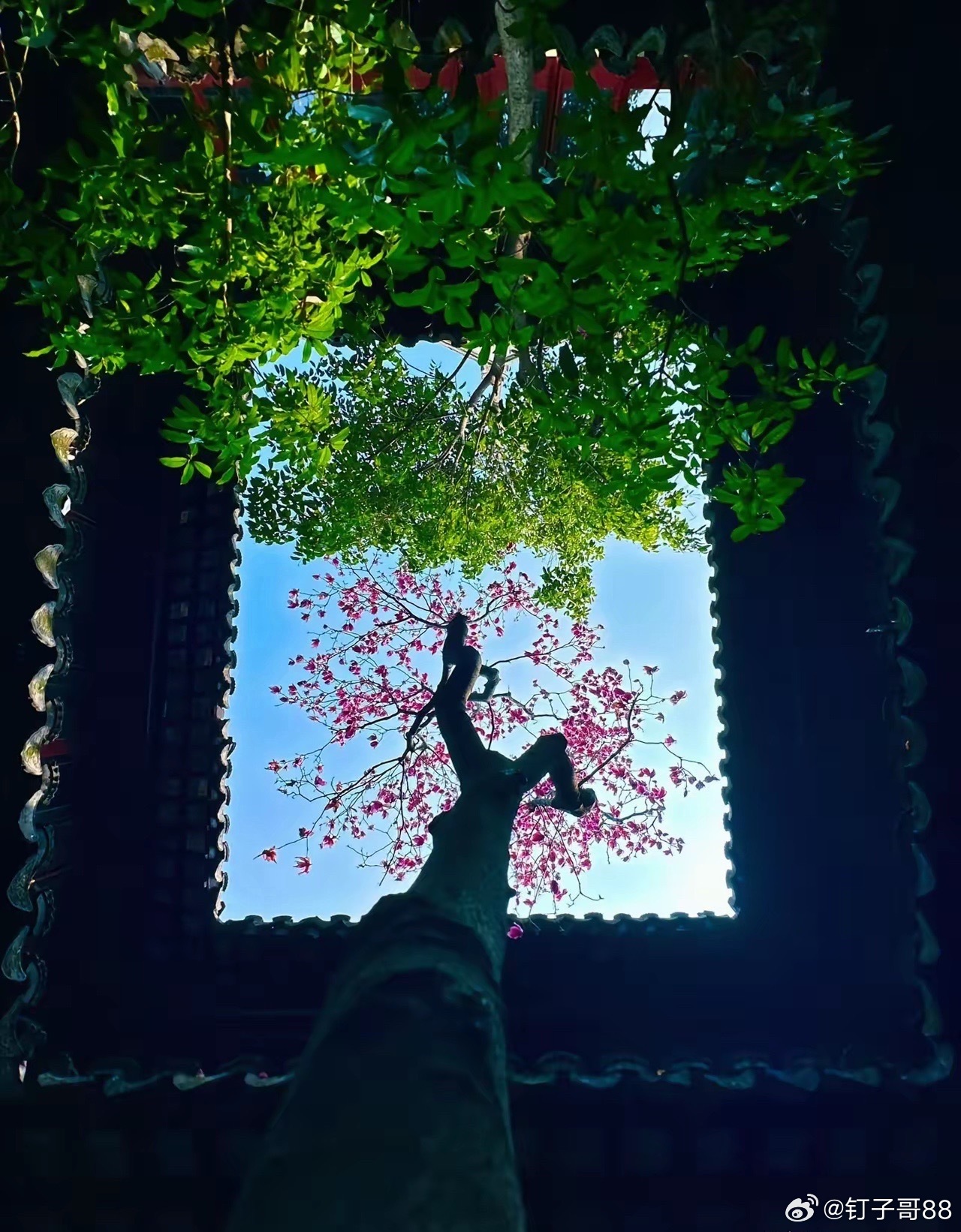 算力枢纽：绿电直连市场人气代表最新行业动态热点一文全解析梳理。1，迪森股份：主业