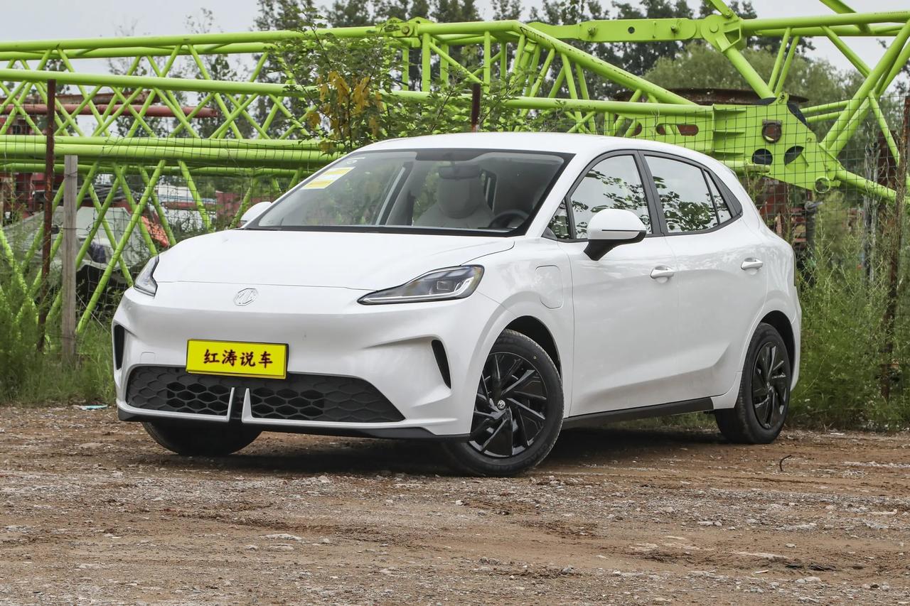 我自己挺喜欢名爵MG4的，外观设计新颖，比如那箭头状的尾灯，看起来很个性，尤其是