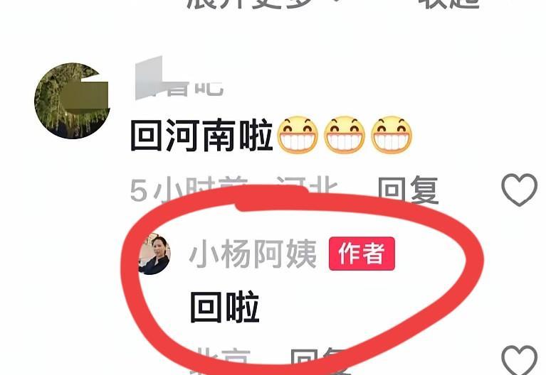 趁着小玥儿霖霖的夏令营还有几天才能结束，小杨阿姨一歇没歇，坐着车就奔河南老家去了