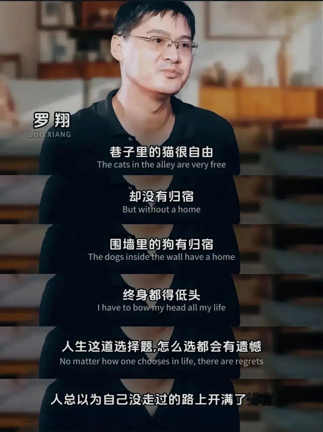 不婚人生：自由与遗憾的辩证法则