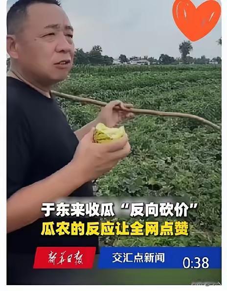 看完于东来收购甜瓜的视频，瞬间懂了为什么他的企业能长久扎根人心。农户心里