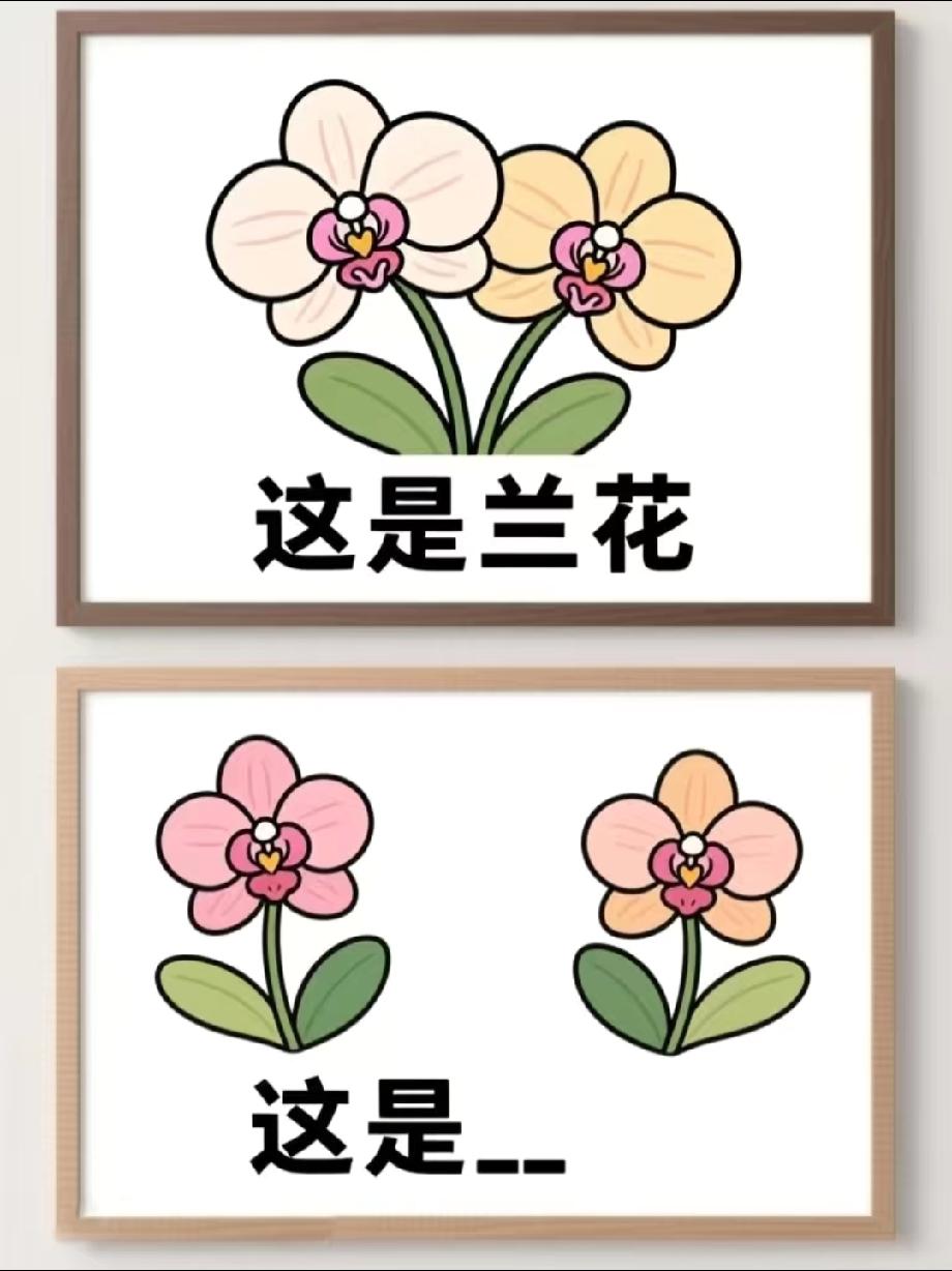 笑喷！两株分开的兰花猜谜底，答案藏谐音里，90%的人都没猜到