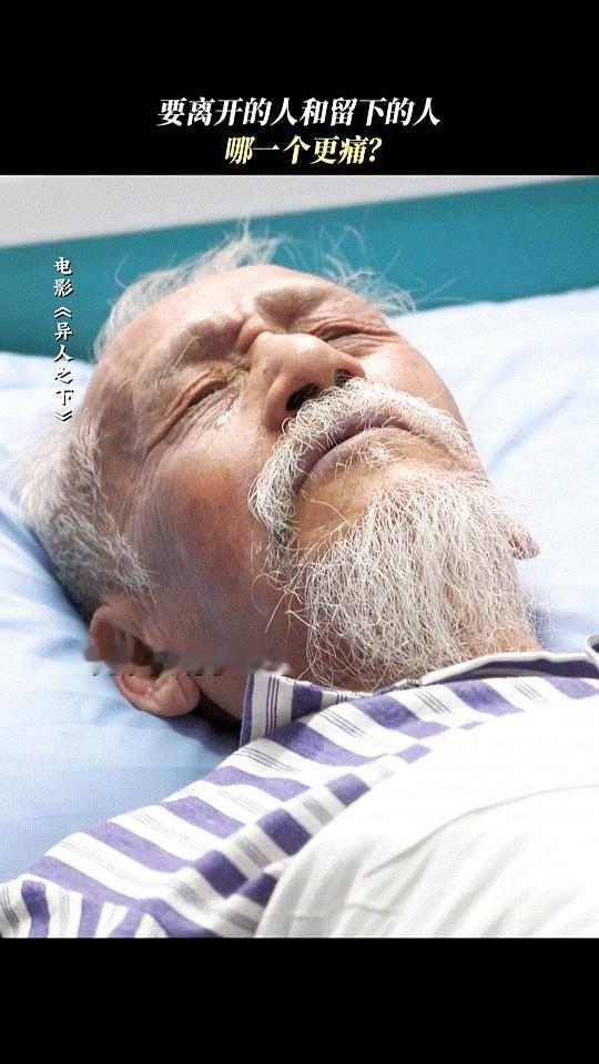 陈彼得应该没有遗憾了，他出生在成都，也在成都离开。1988年两岸刚开放探亲，